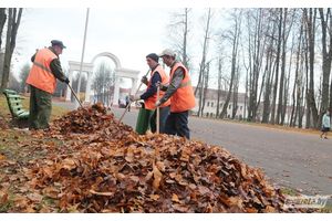 В Молодечненском районе 31 октября объявлен субботник