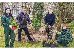 Рассяляем ракаў, зберагаем барсукоў і садзім кветкі