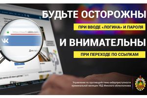 Более Br2,7 тысяч потеряли жители Молодечно при купле-продаже вещей через интернет