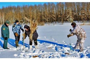 Зимних заморов рыбы можно избежать