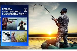 Дело о «телевизорах»
