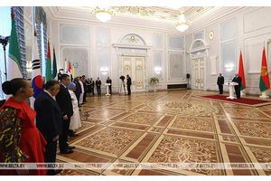 Президент принял верительные грамоты послов девяти зарубежных государств