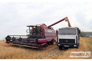 Фактары поспеху «Гарадзілава» і «Хоўхлава»