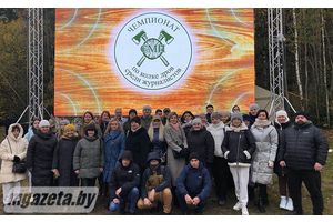 Лес рубят - щепки летят!
