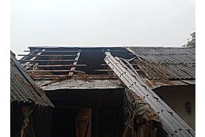 Горела хозпостройка