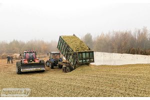 Кукуруза стане кормам для грамадскага статка