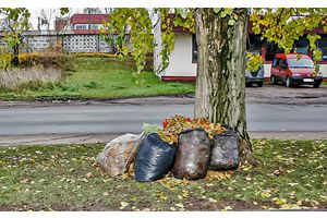Не в пакет, а в компост!