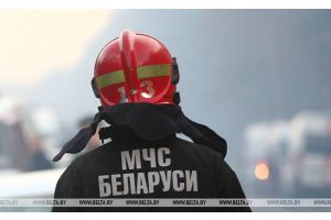 Загорание на полигоне ТБО в Молодечненском районе ликвидировано