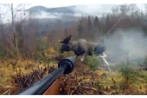 На охоту в Молодечненский район приехали туристы из Бельгии