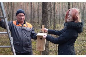 В ожидании пернатых гостей