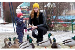 В Беларуси с 1 февраля увеличиваются размеры госпособий семьям, воспитывающим детей