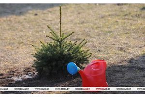 Единый день озеленения проходит в Беларуси