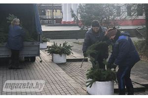 Город солнца готовится к Новому году!