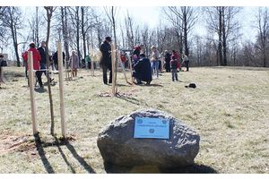 В парке Молодечно посадили семейную аллею
