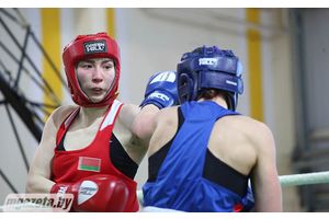 В Молодечно стартовал чемпионат Республики Беларусь по боксу