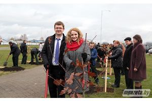 Молодые специалисты лесхозов посадили памятную аллею в Молодечно