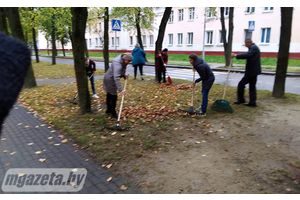 Осень -- время наводить порядок