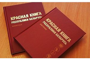 Что надо знать о Красной книге!