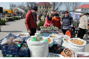 Весенние ярмарки начинаются в Минской области 26 марта