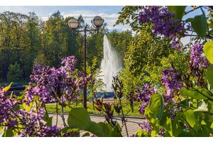 До +31°С, местами ливни и град ожидаются сегодня в Беларуси