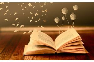 Якія беларускія творы, аўтары або выканаўцы вам найбольш падабаюцца?