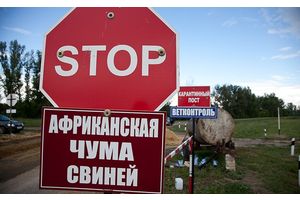 Главный ветврач Молодечненского района -- об АЧС
