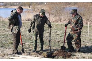 Около Городка появился парк