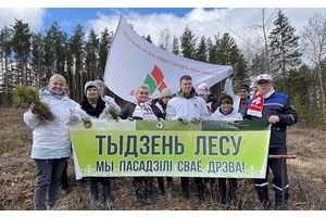 И вырастут деревья большими