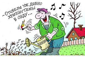 Пал сухой травы