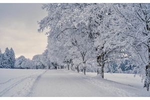 Внимание! Конкурс 