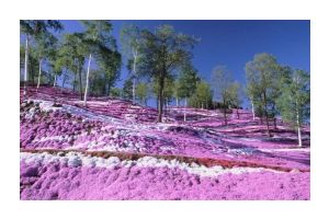 В Заславле прошел конкурс модельеров-конструкторов «Модный силуэт»