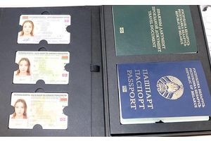 Правительство определило, как будут выглядеть биометрические документы