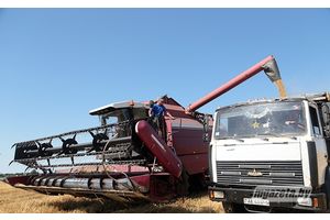 Жніво: каб надвор’е не падвяло ды тэхніка не сапсавалася