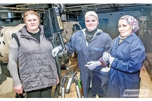 Маразы не сталі нечаканасцю