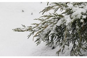 Гололедица и -8°С будет сегодня в Беларуси