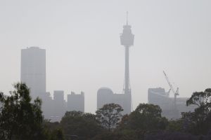 Сильные ветры в Австралии и Новой Зеландии принесли экстремальную жару и спровоцировали лесные пожары