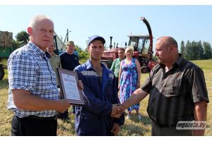 «Зялёнае жніво»: людзі працуюць з поўнай аддачай