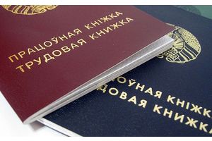 В Минской области органы занятости трудоустроили более 17 тыс. человек в 2020 году