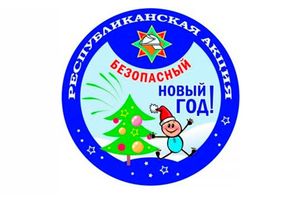 Стартовала республиканская акция «Безопасный новый год!»