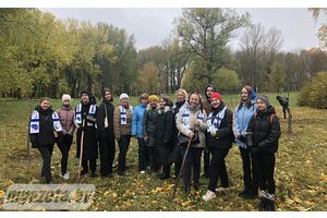 Посадить дерево должен не только каждый мужчина