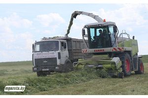 Якасць высокая, тэрміны аптымальныя