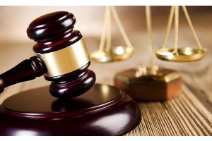 Жительница Олехновичей предстанет перед судом за кражу