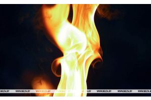 Количество пожаров в Беларуси за январь-октябрь выросло