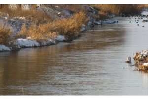 В Молодечненском районе обнаружен труп мужчины