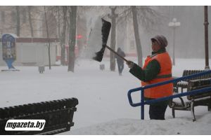 Встречаем Улли во всеоружии