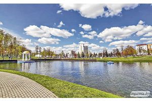 Безопасная жизнь в чистом городе