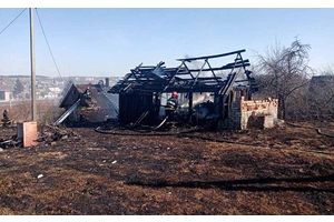 Март принес не подснежники, а тысячи пожаров в экосистемах, виной которым – человек