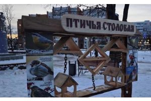 С заботой о природе: в Могилеве появилась первая «столовая для птиц»