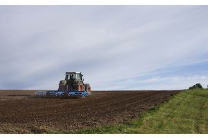 Ураджайная люцэрна, карысная аўсяніца