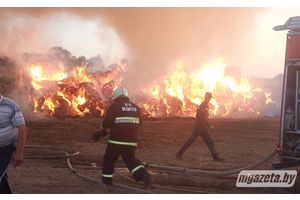 В поле под Молодечно сгорело 60 тонн соломы